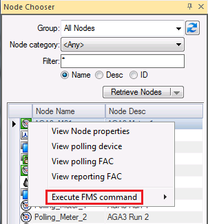 Executing Commands in FMS Explorer